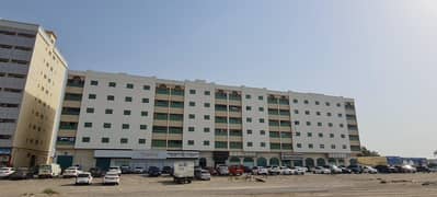 Spacious 1BHK Apartment