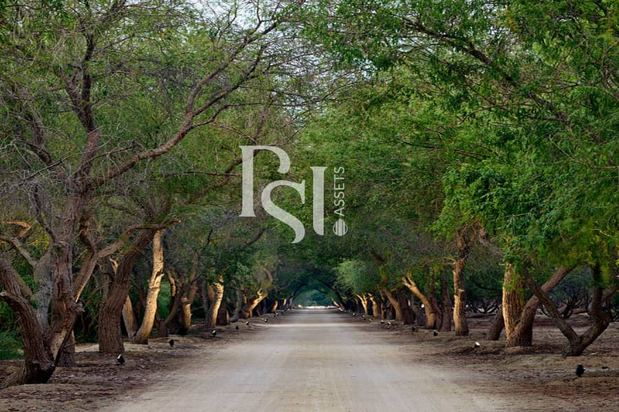 6 al-jurf-villa-gardens-abu-dhabi-private-entrance-1. jpg