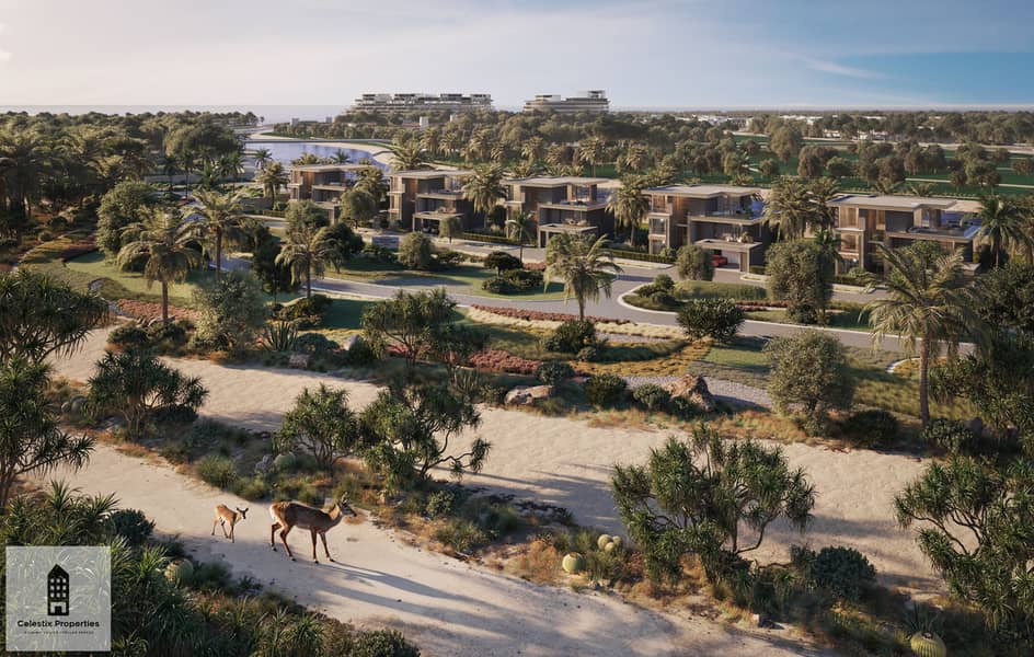 12 Aerial View Villas Natural Reserve. jpg