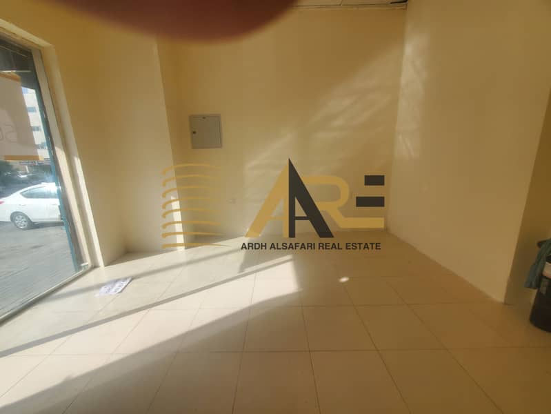 6 20250428_162600. jpg