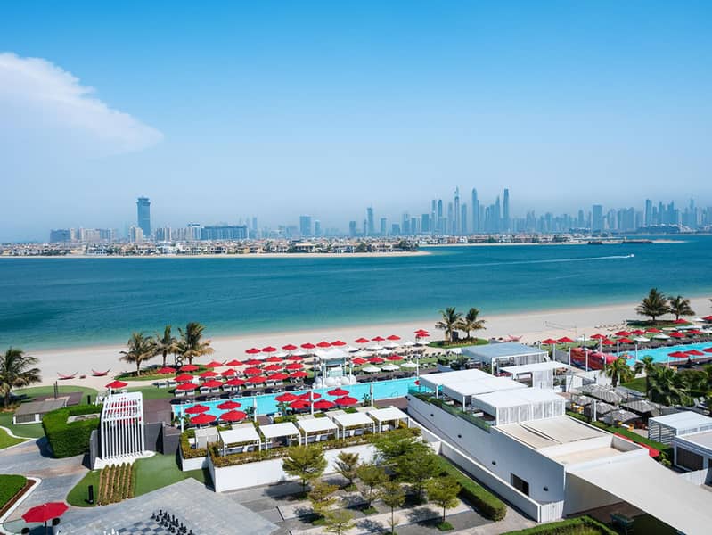 15 pool, palm skyline view. png