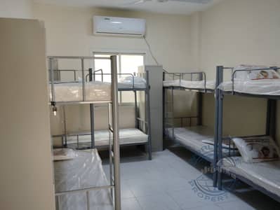 سكن عمال  للايجار في الجرف، عجمان - WhatsApp Image 2024-01-05 at 15.35. 07_6df40ba2. jpg