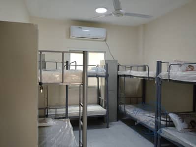 Labour Camp for Rent in Al Jurf, Ajman - WhatsApp Image 2024-01-05 at 15.35. 04_21e917f2. jpg
