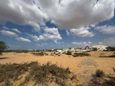 Industrial Land for Sale in Al Hamriyah, Sharjah - WhatsApp Image 2025-02-03 at 6.35. 11 PM (5). jpeg