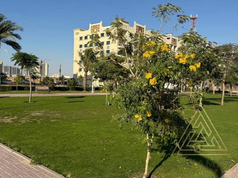 5 10. jpg