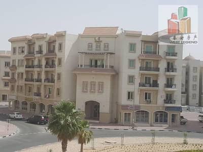 محل تجاري  للايجار في المدينة العالمية، دبي - WhatsApp Image 2025-02-06 at 16.21. 11 (4). jpeg