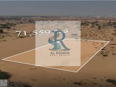 Plot for Sale in Al Ramlah, Umm Al Quwain - صورة واتساب بتاريخ 1446-08-17 في 12.09. 31_3b18e7a2. jpg