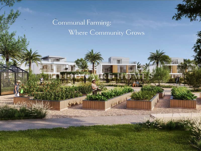 4 emaar-the_valley_farm_gardens_2-the_valley-villa-misc-brochure-001_page-0010. jpg