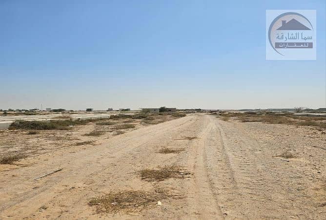 المالحة 03. jpg المالحة 03. jpg