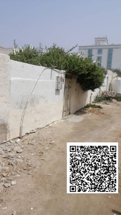 阿尔布斯坦， 阿治曼 5 卧室别墅待售 - WhatsApp Image 2025-05-01 at 10.44. 48_d2ede490. jpg