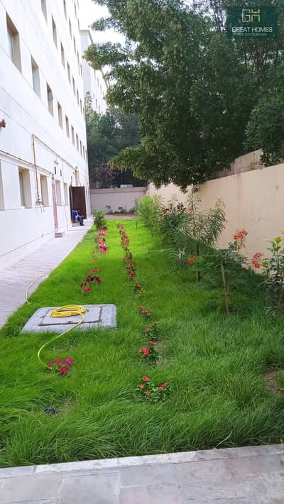 Labour Camp for Rent in Dubai Investment Park (DIP), Dubai - Garden Photo. jpeg