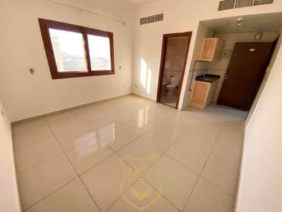 Spacious Studio Apartment central Ac Near To Cornish