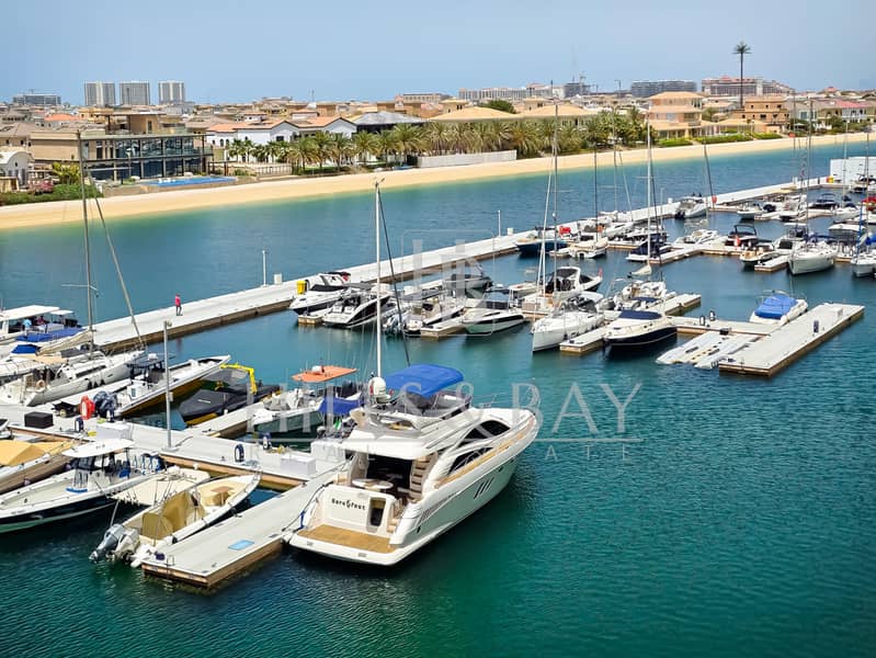 Квартира в Палм Джумейра,Палм Вьюс,Палм Вьюс Ист, 110000 AED - 11395010 Квартира в Палм Джумейра,Палм Вьюс,Палм Вьюс Ист, 110000 AED - 11395010