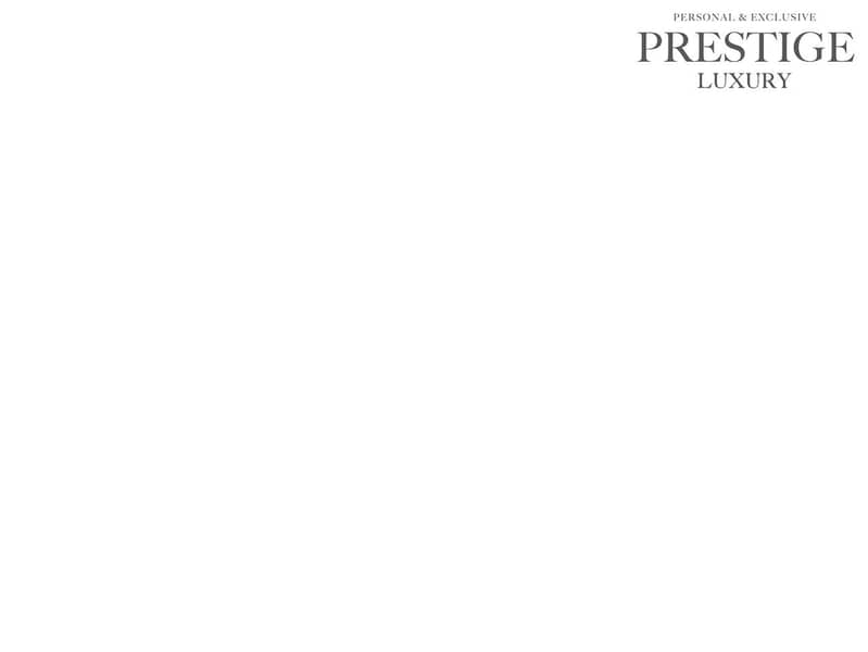 32 Untitled-1_0060_Background. jpg