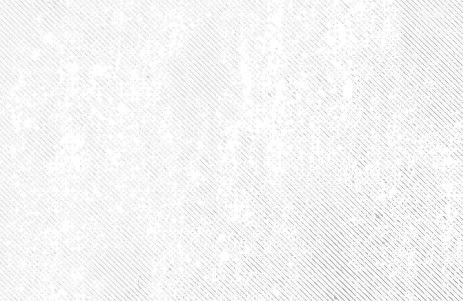 17 img264. jpg