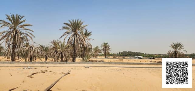 Plot for Sale in Al Zahya, Ajman - WhatsApp Image 2025-04-19 at 15.21. 34 (1). jpeg