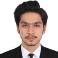 Muhammad Taha Saleem