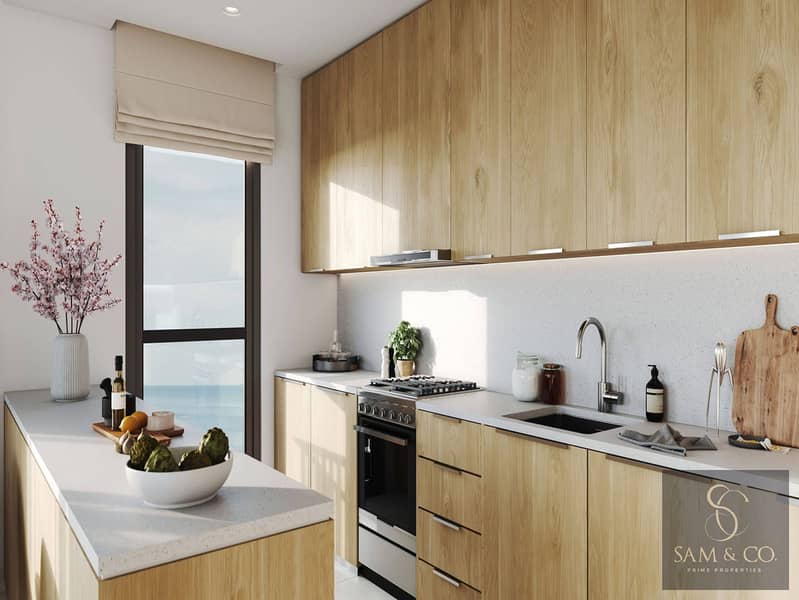 5 interior-rehan-residence-Kitchen. jpg