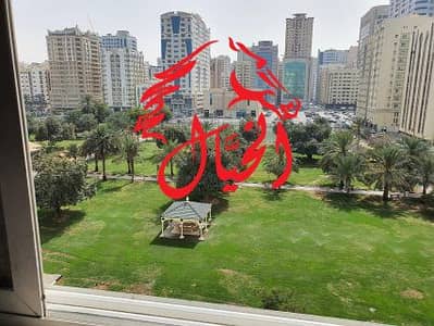 11 Cпальни Здание Продажа в Аль Касимия, Шарджа - 124499. jpg
