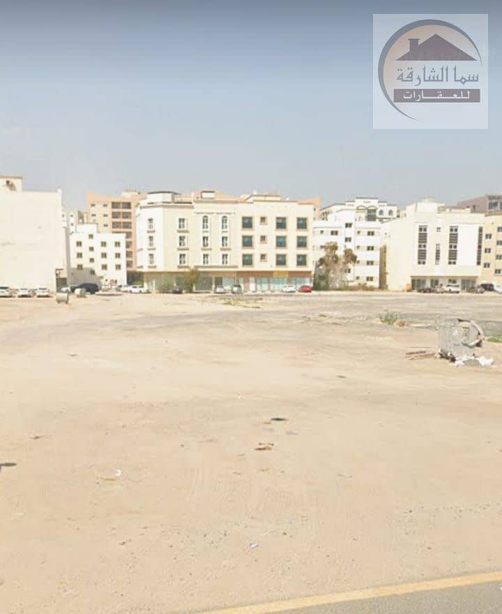 4 WhatsApp Image 2025-05-06 at 00.26. 25_7c466fae. jpg