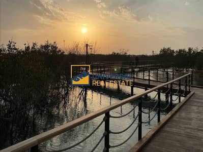 Plot for Sale in Al Jubail Island, Abu Dhabi - Polish_20250506_170035735. png