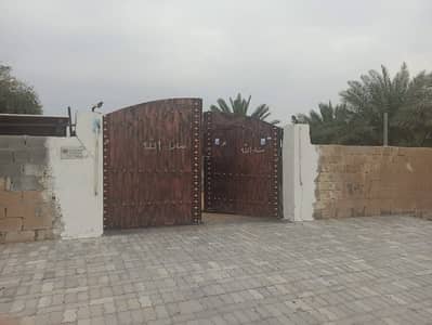 Industrial Land for Sale in Al Zubair, Sharjah - WhatsApp Image 2025-05-07 at 11.31. 33. jpeg