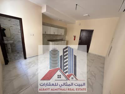 استوديو  للايجار في الجرف، عجمان - IMG-20250429-WA0012. jpg