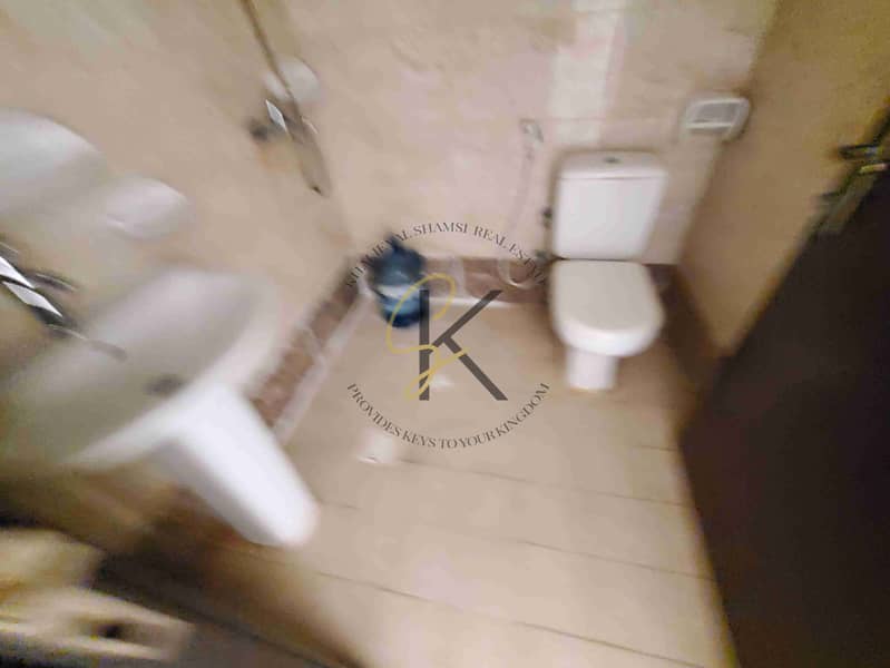 11 20250226_122025. jpg