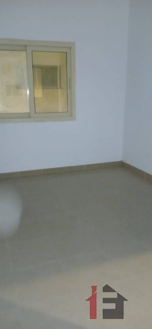 1000202896. jpg 1000202896. jpg