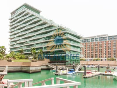 阿拉哈海滩， 阿布扎比 2 卧室公寓待租 - IMG_3335. jpg