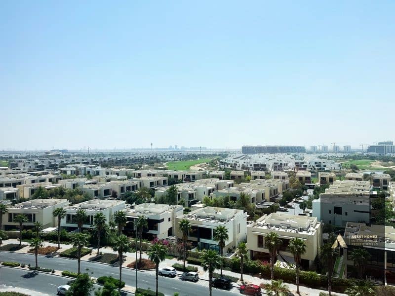 8 IMG_092325. jpg