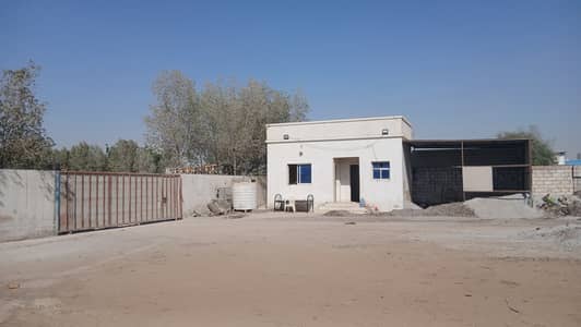 ارض صناعية  للايجار في صناعية الصجعة، الشارقة - WhatsApp Image 2025-05-08 at 16.03. 00 (1). jpeg