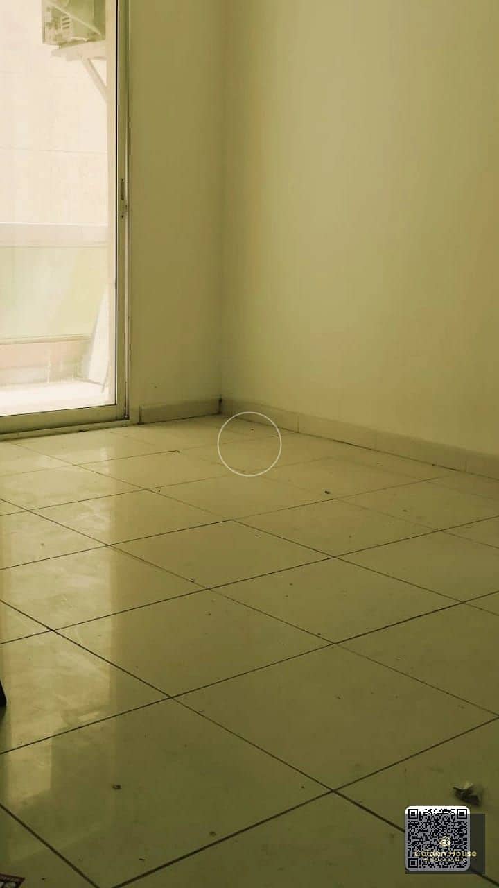 صورة واتساب بتاريخ 2025-05-07 في 18.19. 30_24765508. jpg