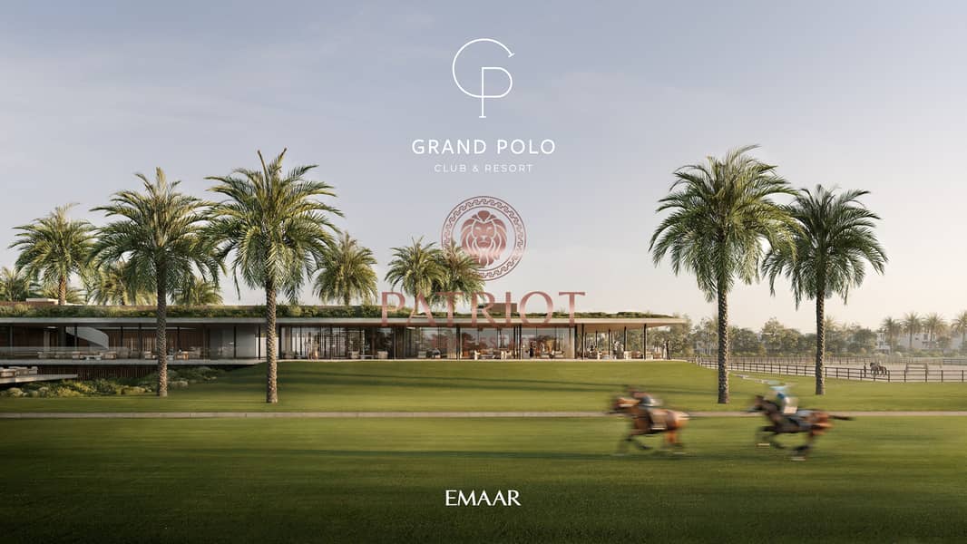 3 GRAND_POLO_IMAGE2. jpg