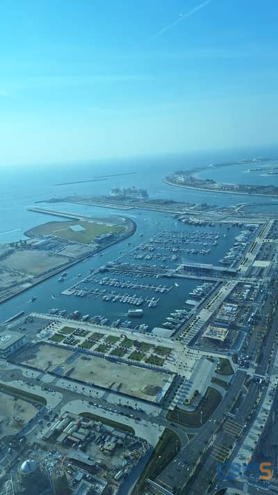 迪拜码头， 迪拜 4 卧室顶楼公寓待租 - WhatsApp Image 2025-05-08 at 6.08. 04 PM (2). jpeg