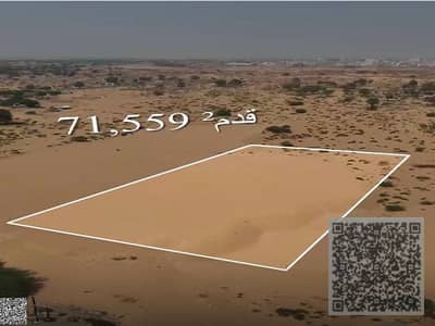 Plot for Sale in Al Ramlah, Umm Al Quwain - صورة واتساب بتاريخ 1446-08-17 في 12.09. 31_3b18e7a2. jpg