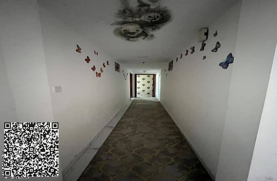 13 IMG-20241211-WA0234. jpg