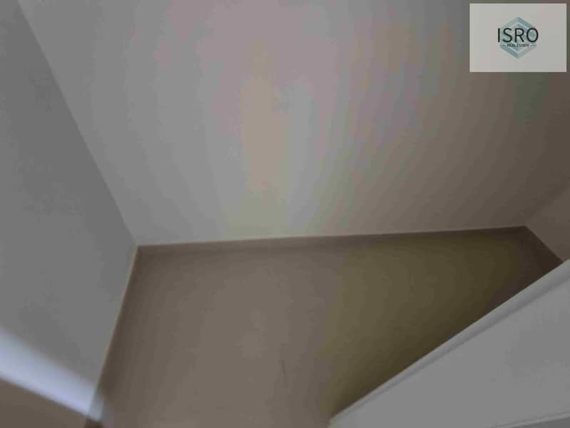 14 1000016674. jpg