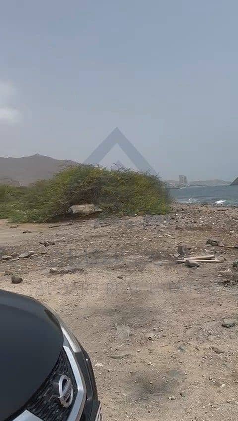 2 WhatsApp Video 2024-11-14 at 12.26. 14 PM. mp4_snapshot_00.08. 553. jpg