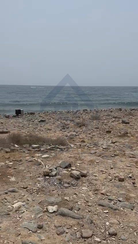 3 WhatsApp Video 2024-11-14 at 12.26. 14 PM. mp4_snapshot_00.03. 480. jpg
