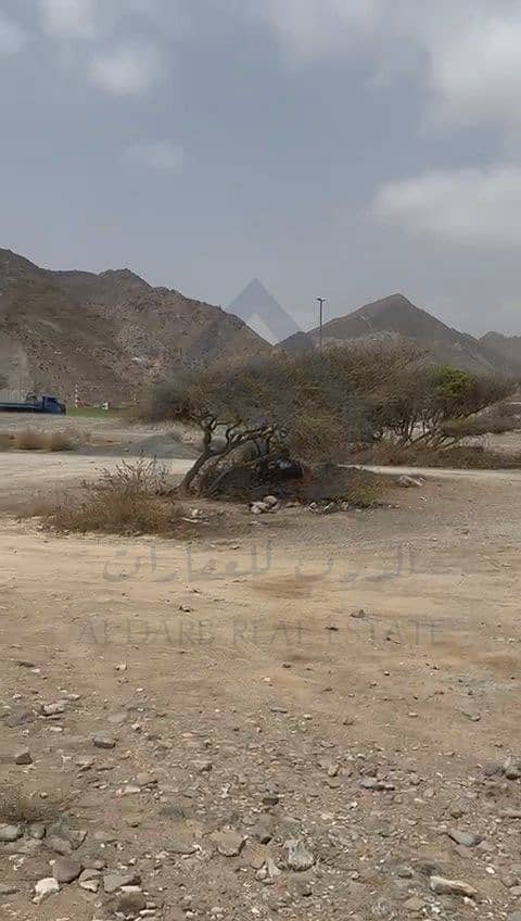 4 WhatsApp Video 2024-11-14 at 12.26. 14 PM. mp4_snapshot_00.13. 858. jpg
