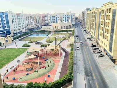 فلیٹ 2 غرفة نوم للايجار في تجارية مويلح، الشارقة - IMG-20241205-WA0048(3). jpg