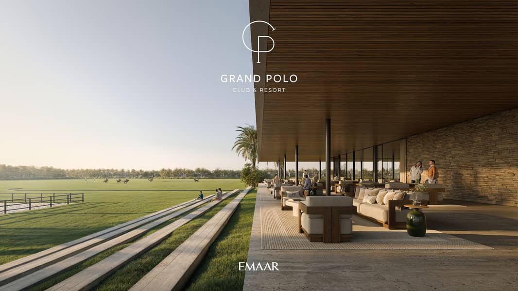 14 GRAND_POLO_IMAGE5. jpg