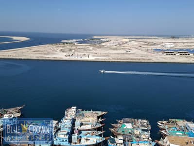 迪拉区， 迪拜 2 卧室公寓待租 - 20241209_120308. jpg