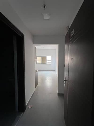 阿尔罗达， 阿治曼 单身公寓待租 - IMG-20250412-WA0113. jpg