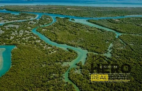 Plot for Sale in Yas Island, Abu Dhabi - 1 (2). jpg