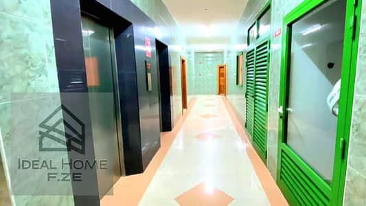1 Bedroom Flat for Rent in Al Qasimia, Sharjah - IMG_20250309_234014. png