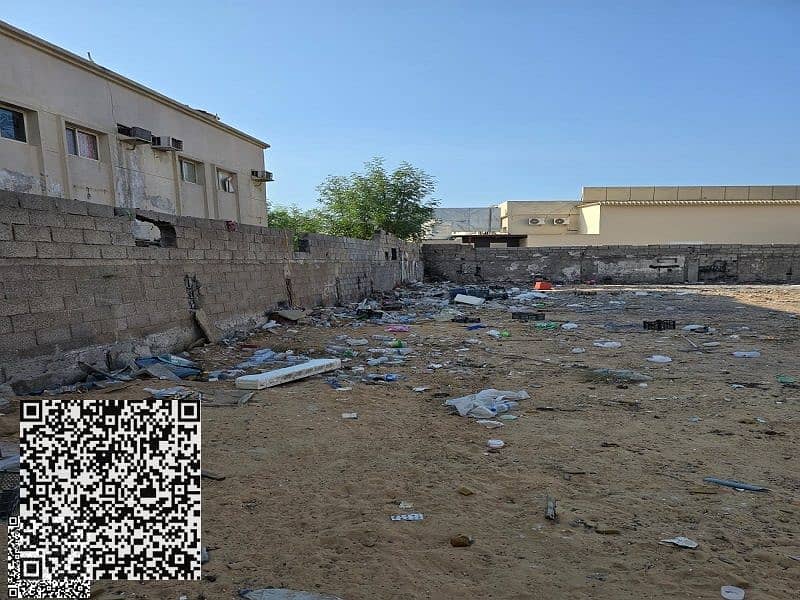3 صورة واتساب بتاريخ 2024-11-25 في 15.58. 56_ce420260. jpg