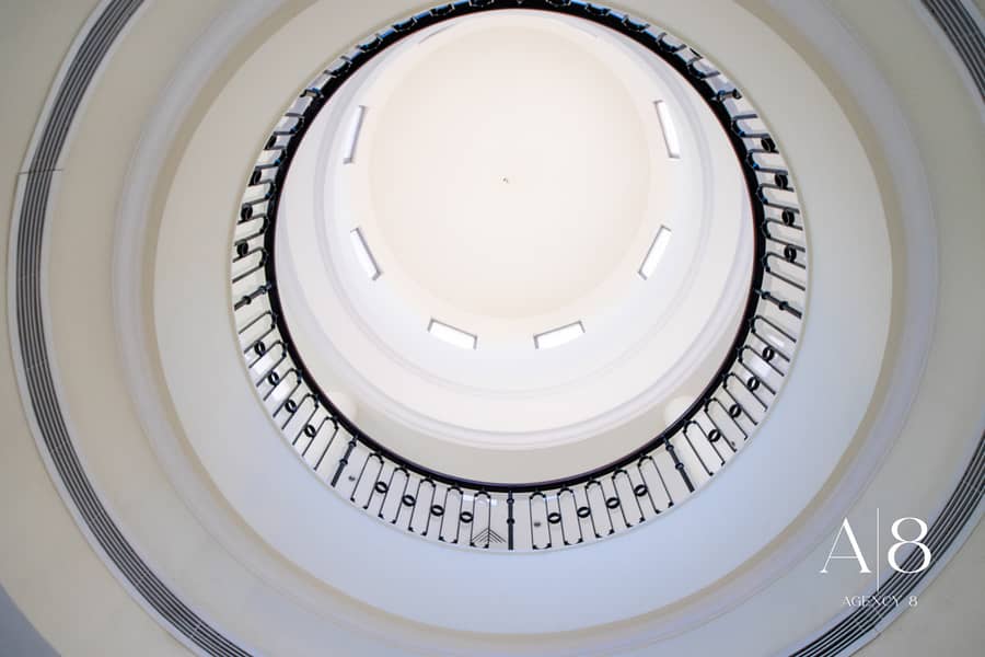 6 Frond P -04. jpg