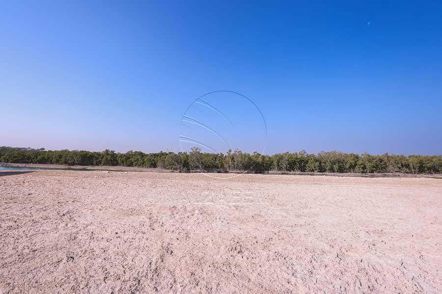7 021A1584. jpg
